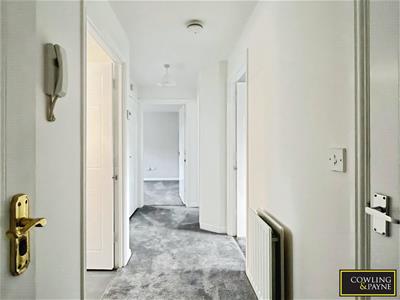 Picture 7